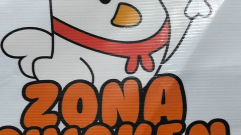 Chicken Original Nasi