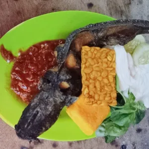 Pecel Lele