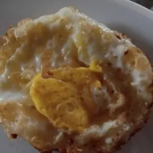 Telor ceploktelor