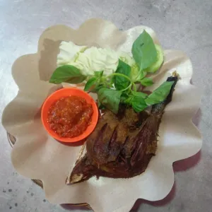 bebek + nasi(biasa/uduk)