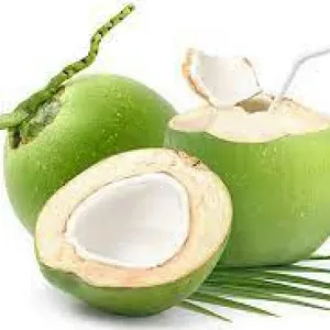KELAPA MUDA / DEWEGAN