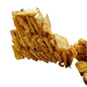 5 tempe goreng