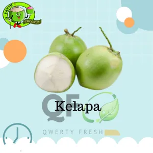 Kelapa Muda