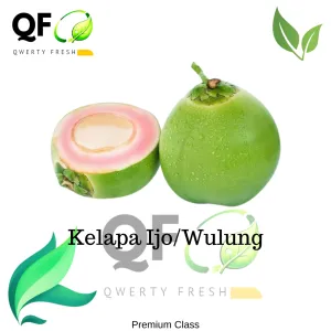 Kelapa IJo/Wulung Ukuran Sedangpenyajiannya di kupas atau di plastik