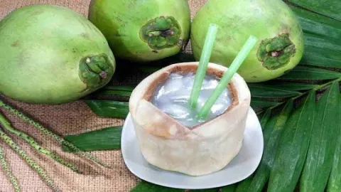 Es Kelapa Alpukat
