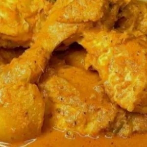 nasi oadang ayam sayurnasi Padang ayam sayur