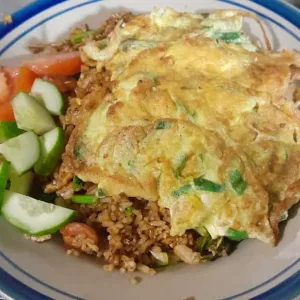 nasi goreng+telor dadarsayur+ayam+telor+baso+sosis+kerupuk udang