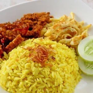 Nasi Kuning Biasa