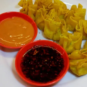 Wonton
